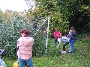 Beim Brennnesseln pflücken