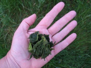 Macht doch mal den Rolltest ;)