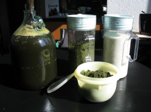 Kreationen aus der Brennnessellobbywerkstatt