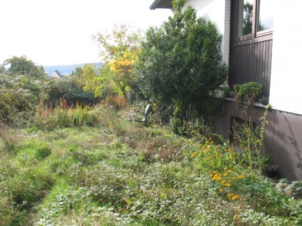 Gartenausschnitt mit Glyzinie und Tagetes im Herbst