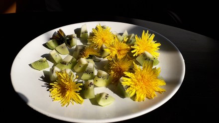 Löwenzahnblüten mit Kiwi